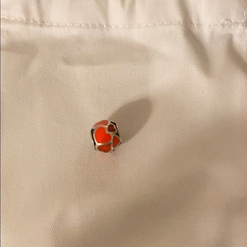 Pandora Charm